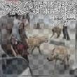 �ŋ����pSKA FUNK Vol.1