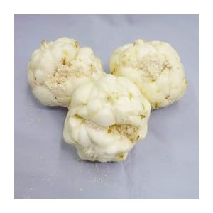 北海道産 ゆり根 5kg Mサイズ62玉(バラ)　1箱
