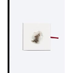 Cai Guo-Qiang: Head on