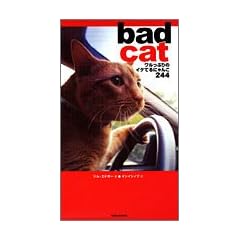 bad cat�\�������Ղ�̃C�P�Ă�ɂ��244