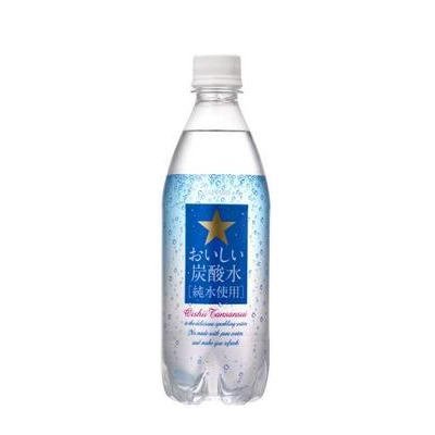 サッポロ おいしい炭酸水 500ml×24本