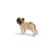 Schleich �V�����C�q �p�O (�I�X)