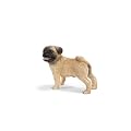 Schleich �V�����C�q �p�O (�I�X)
