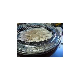 �O�͐��R�����Y��(�������A29,5��������17�����j