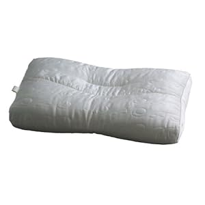 【クリックで詳細表示】西川産業 SOIEAGE シルク混ピロー 枕50×40cm ピローケース75×40cm 高め EAA8889291-IH SI9510