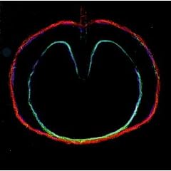 Wasp Star (Apple Venus, Pt. 2)