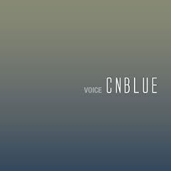 voice
