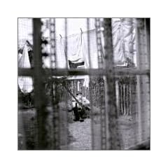 Chaos And Creation In The Back Yard(���S���񐶎Y�����DVD�t)(CCCD)