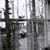 Chaos And Creation In The Back Yard(���S���񐶎Y�����DVD�t)(CCCD)