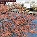 ���������������f�B
