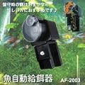 ���玞�ł����S�I��؂Ȃ����̉a���͂��܂����I���������a�큞AF-2003