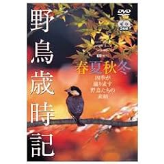 �쒹�Ύ��L�E�t�ďH�~-�l�G���D�萬���쒹�����̑f��- [DVD]