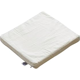 ���{�� �ᔽ�� �x���g�t�� �N�b�V���� 30�~30�~3cm �x�[�W��
