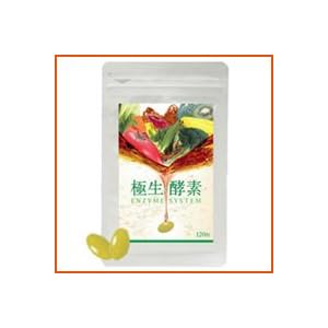 【クリックで詳細表示】極生-酵素 エンザイムシステム