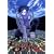 �e��(Gunnm)Last Order (6) (�����O�W�����v�E�R�~�b�N�X�E�E���g��)