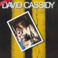 恋の大通り Gettin' It in the Street  / David Cassidy