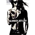 MONKEY STRIP [DVD]