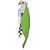 A di ALESSI �\�����G�i�C�t "Parrot" �O���[�� AAM32 GR