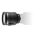 Nikon 1 NIKKOR (�����j�b�R�[��) VR 10-100mm f/4.5-5.6 PD-ZOOM 1NVR10-100 PD