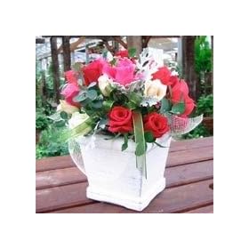 �V���v�������ꂢ�@�o���̃A�����W�����g �y���ԁz�y���j���z�y�L�O���z�y�a�����z�y�t�����[�M�t�g�z�y�o���z