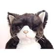 Cuddly�\���S���[�ʂ������45cm