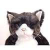 Cuddly�\���S���[�ʂ������45cm