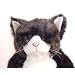 Cuddly�\���S���[�ʂ������45cm