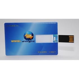 ���h�X�^�C�� USB������ / 2GB / �����^(2mm)