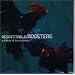 RESPECTABLE ROOSTERS~a tribute to the roosters