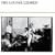 Lounge Lizards