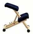 STOKKE �}���`�o�����X �i�`������+�u���[ MULTI balans NA/BL
