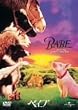 �x�C�u [DVD]