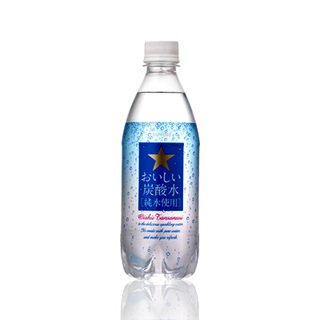 サッポロおいしい炭酸水ペット500ml×24 本