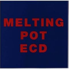 MELTING POT(�����e�B���O�E�|�b�g)