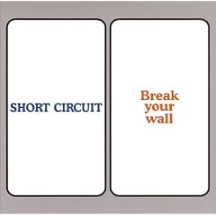 BREAK YOUR WALL
