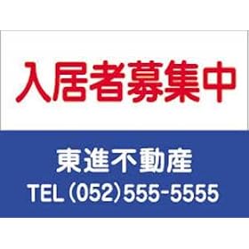 �s���Y�Ŕ� �m�����ҕ�W���n �T�C��B45������60����