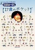 17�΂̃|�P�b�g (�W�p�Е���)