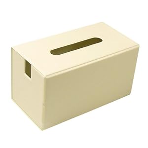 【クリックで詳細表示】折りたたみ式 多目的 コード収納ボックス アイボリー (A718-S1)