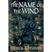 The Name of the Wind (The Kingkiller Chronicle: Day One) (The Kingkiller Chronicle : Day One)