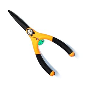 �T�{�e�� �Ő��� 1580