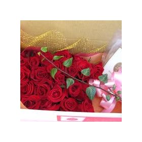 ����₩�ō��؂ȃo�����C�Z�b�g�@�Ԍn�̃o���@�X�^���_�[�g�@8�_�[�X�i96�ցj�Z�b�g+���[�Y�\���g�P�t���y���ԁz�y���j���z�L�O���z�y�a�����z�y�t�����[�M�t�g�z�y�o���z