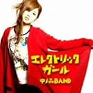 �G���N�g���b�N�K�[��(����)(DVD�t)