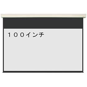 �d���@�v���W�F�N�^�[�@�X�N���[���@���C�h100�C���`