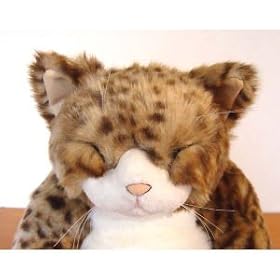 Cuddly�s���J�[�g���ʂ������45cm