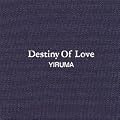 Yiruma - Destiny of Love(�؍���)