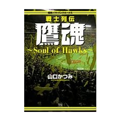 �����\�t�g�o���N�z�[�N�X��m��`�鍰 (�����O�T���f�[�R�~�b�N�X)