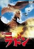 ��̑���b ���h�� [DVD]