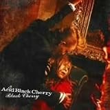 Black Cherry(��������)(DVD�t)
