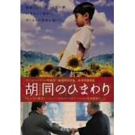 胡同のひまわり