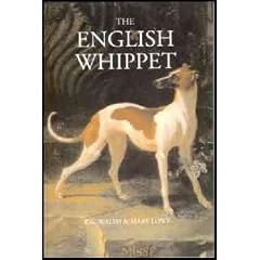 The English Whippet
